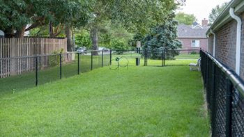 A fenced in backyard with a tennis racket on the grass